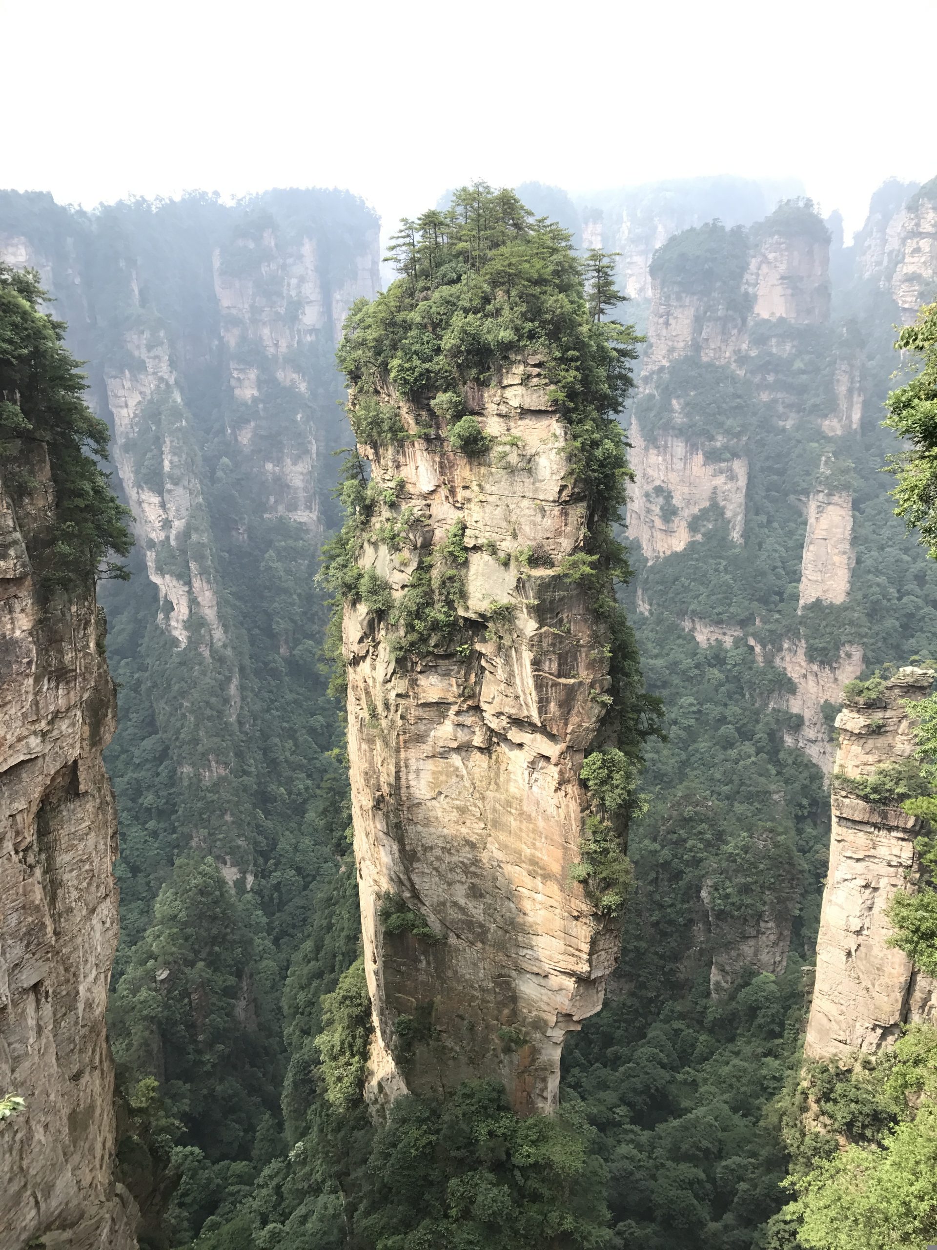 Zhangjiajie sandstone pillars rising from mist